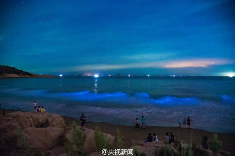 森林的奇迹