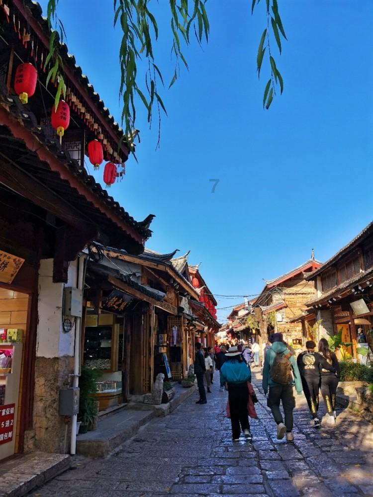 魔法季节沉睡大地